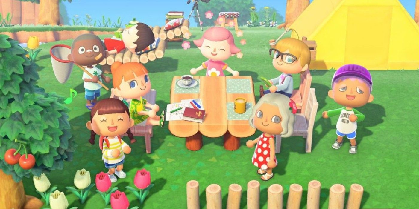 animal crossing new horizons playing on the same switch