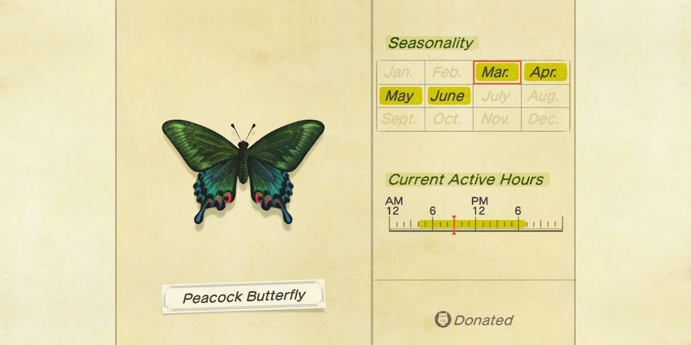 animal crossing new horizons peacock butterfly guide