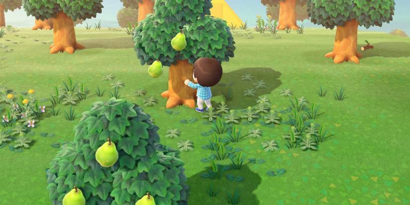 animal crossing new horizons watering trees