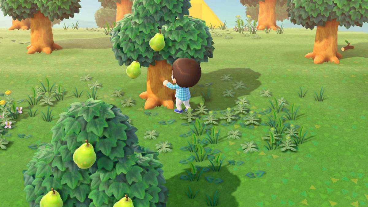 animal crossing new horizons watering trees
