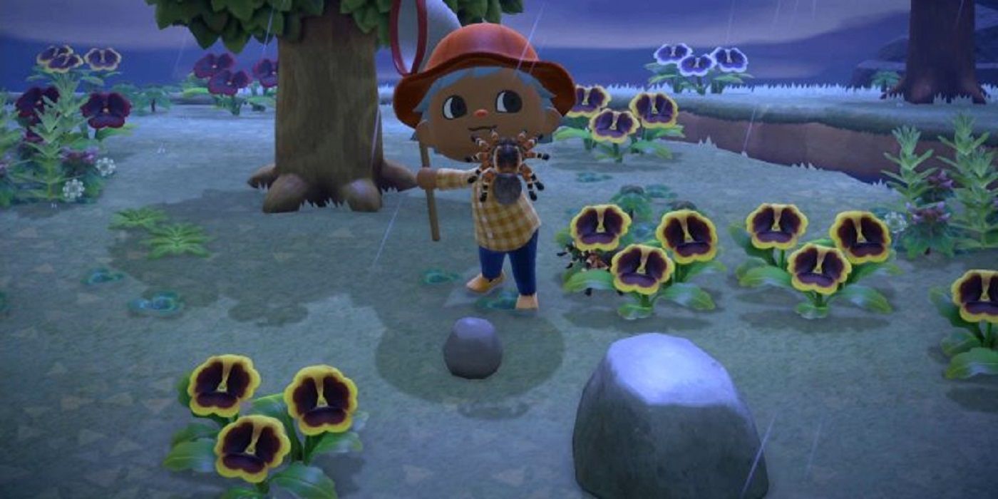 animal crossing new horizons spider island