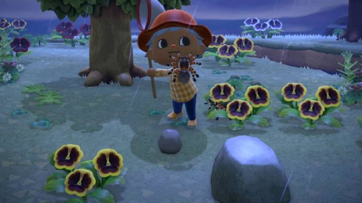 animal crossing new horizons spider island