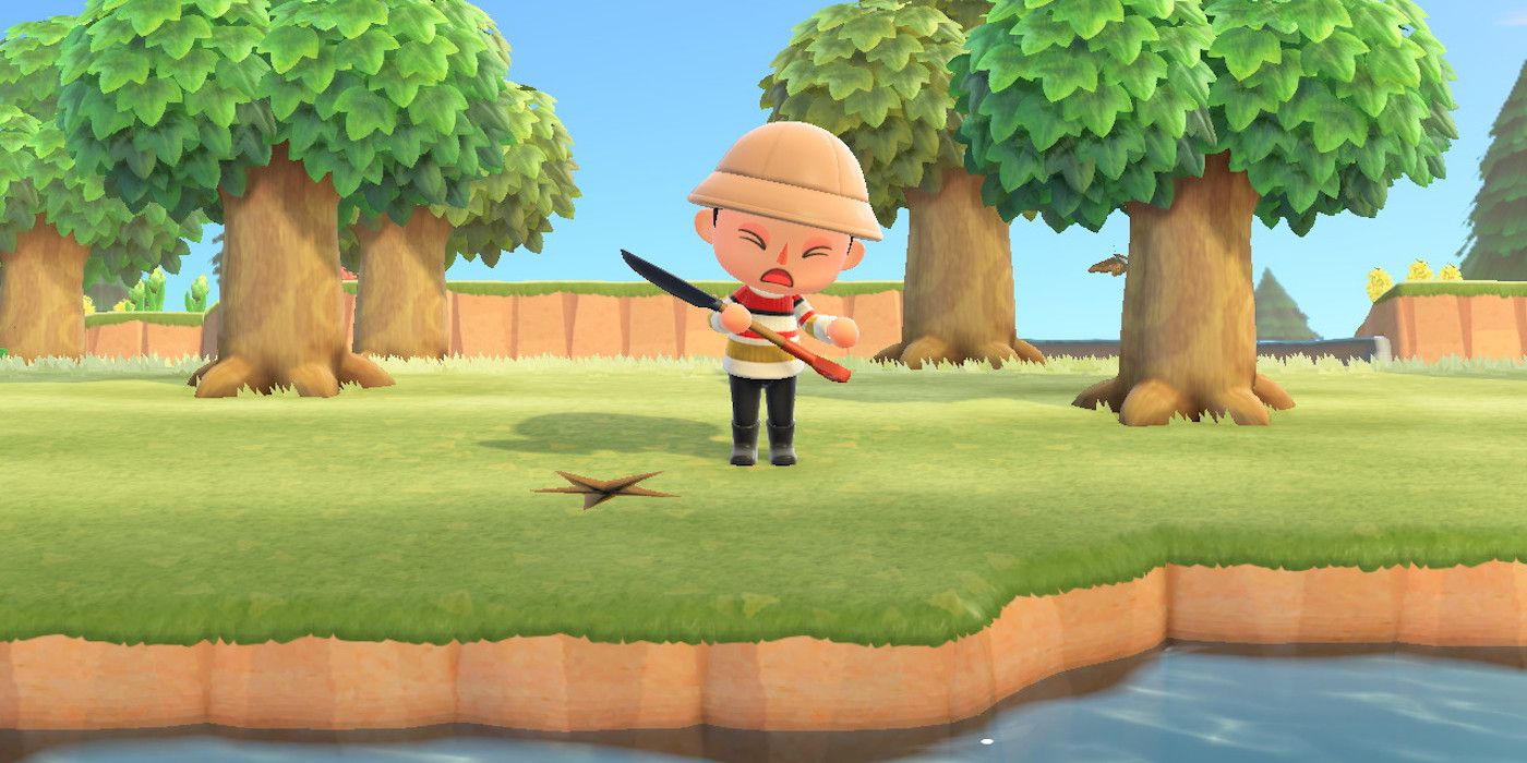 Can You Plant Turnips in Animal Crossing New Horizons?