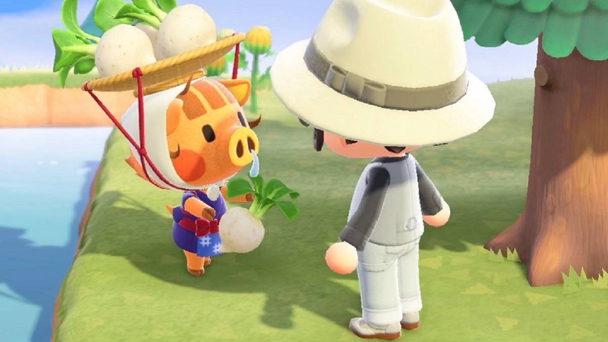 animal crossing new horizons store turnip