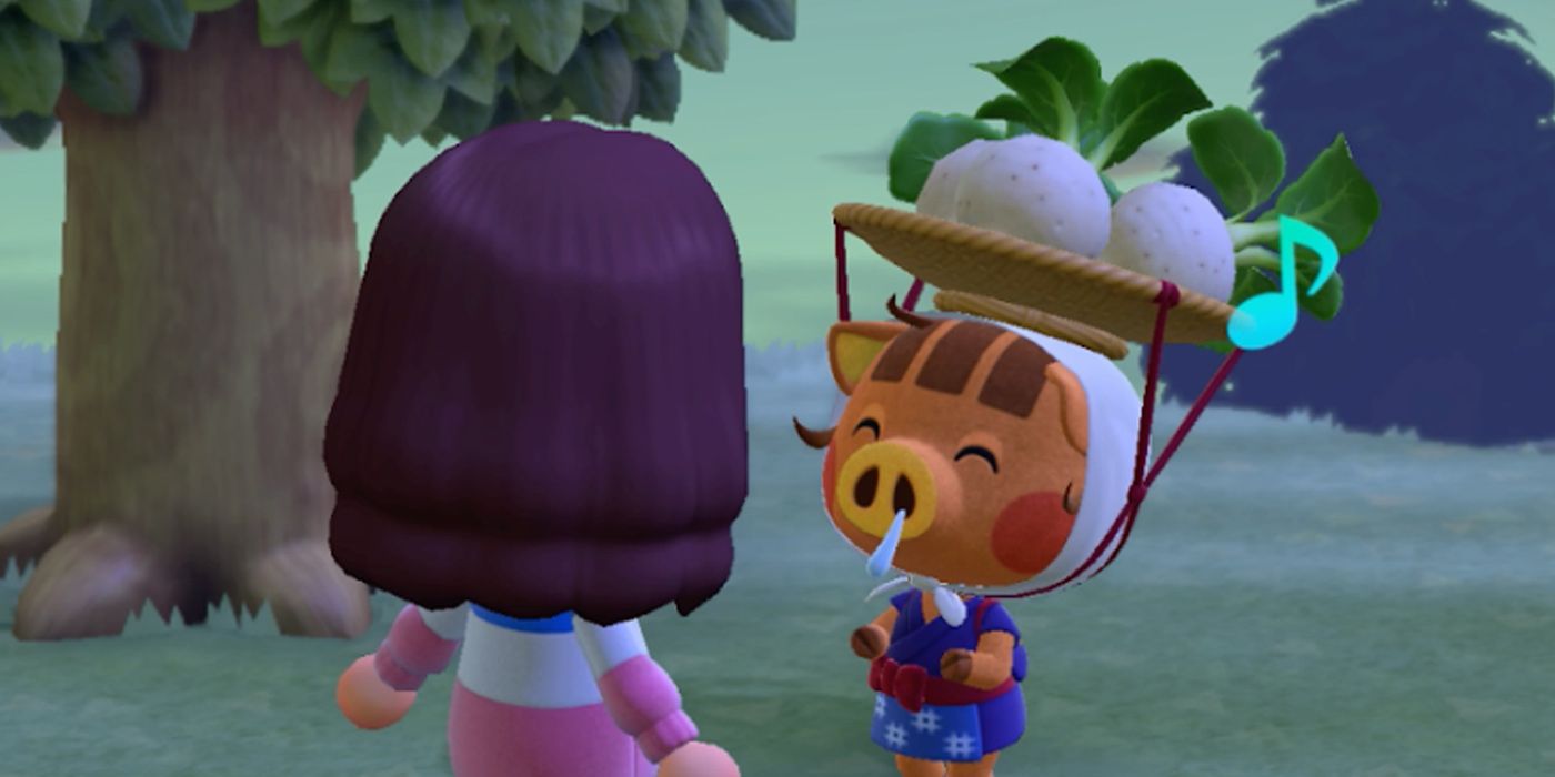 animal crossing new horizons turnip prices