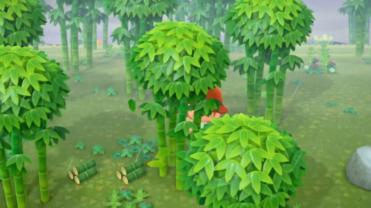 Bamboo in Animal Crossing: New Horizons