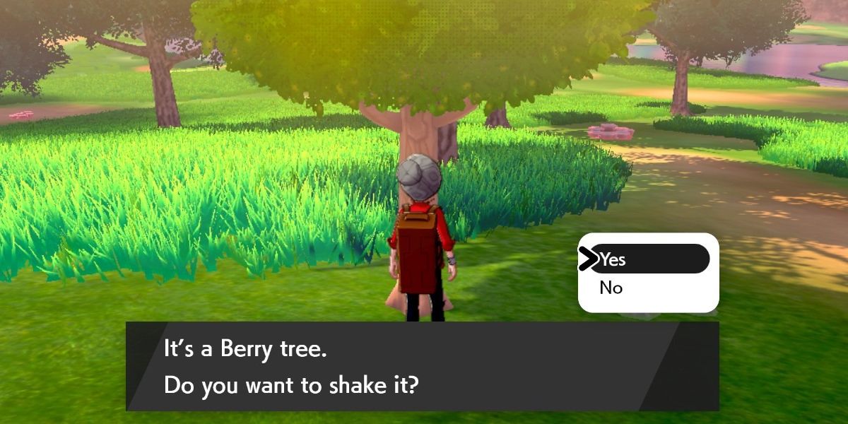 player about to shake a tree