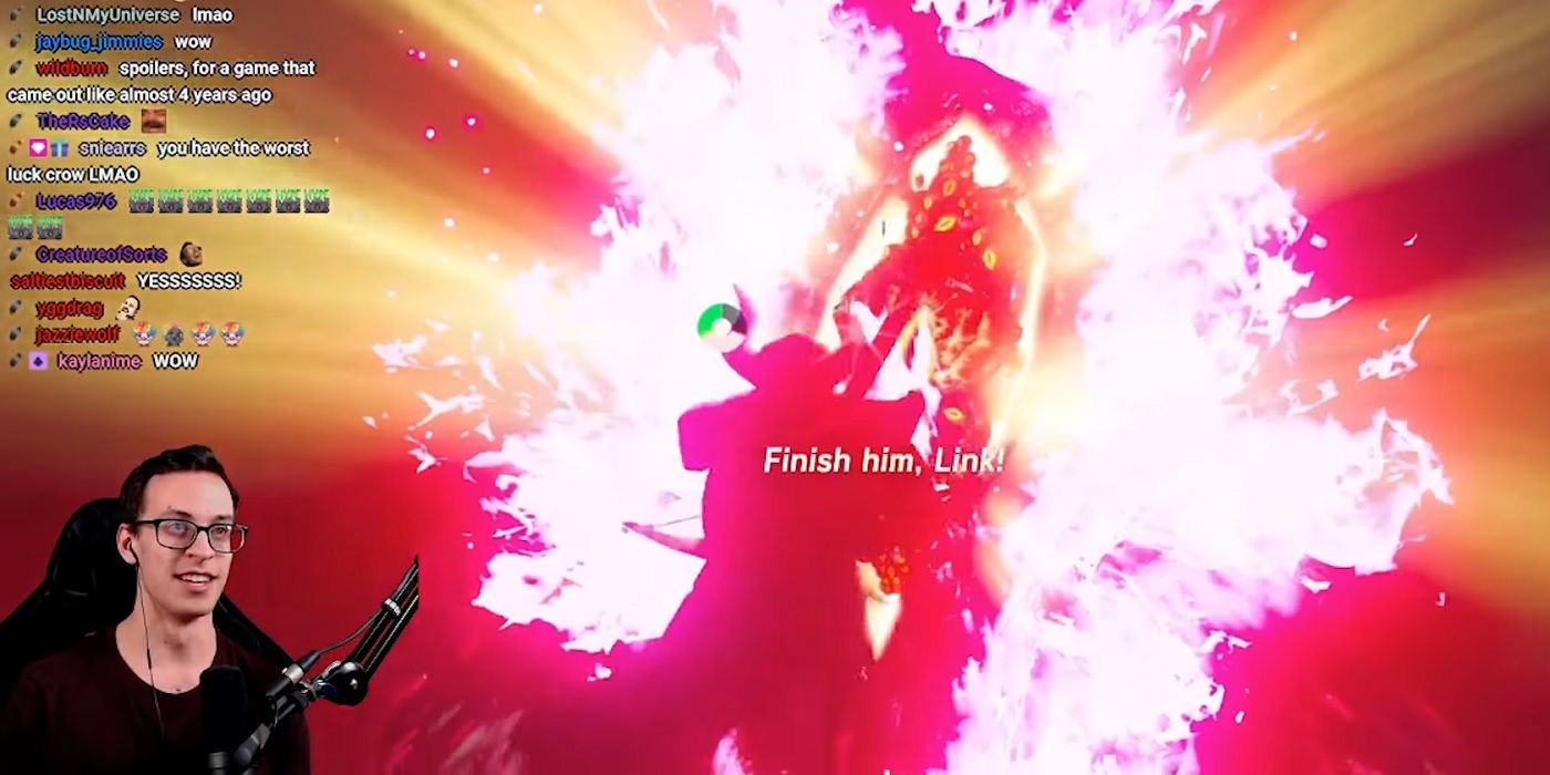 pointed crow beating ganon