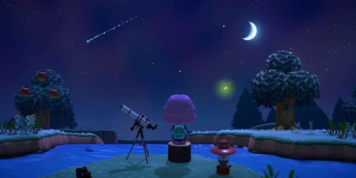 Animal Crossing New Horizons Player watching the sky