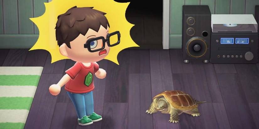 shocked at uncaged snapping turtle