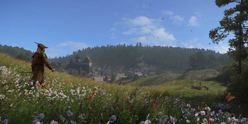 A field in Kingdom Come Deliverance 