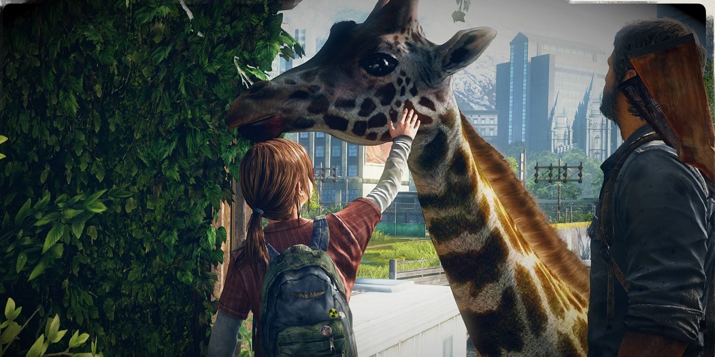 ellie petting giraffe