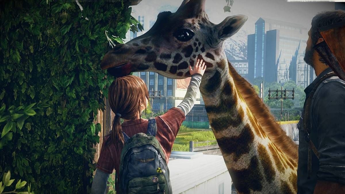 ellie petting giraffe
