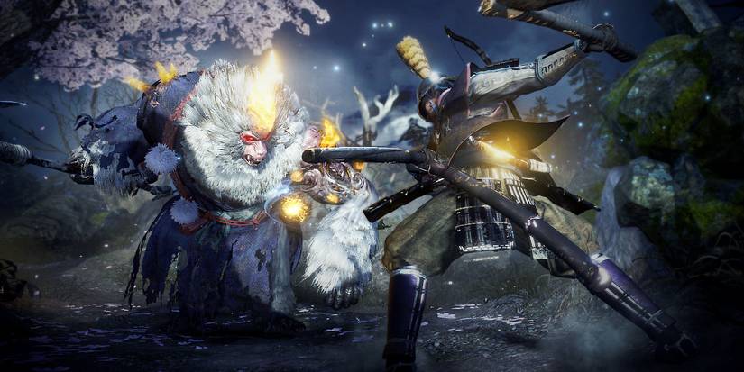 nioh 2 co op