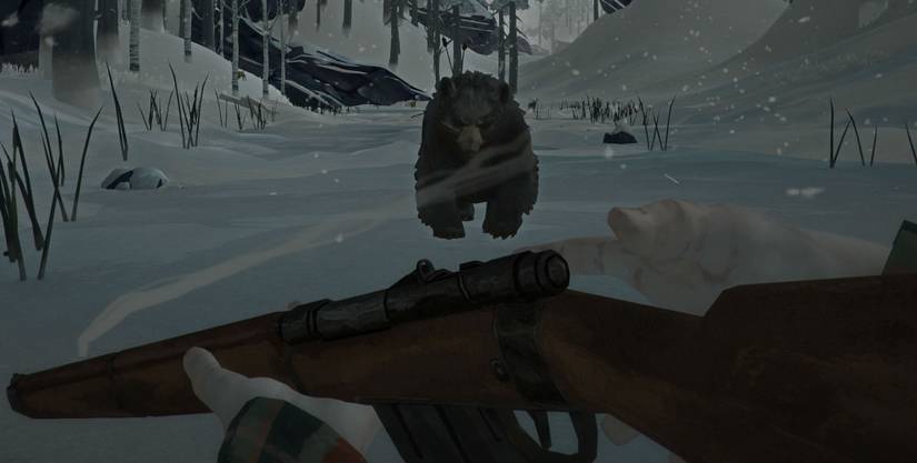 the long dark, steam screenshot, removed from geforce now