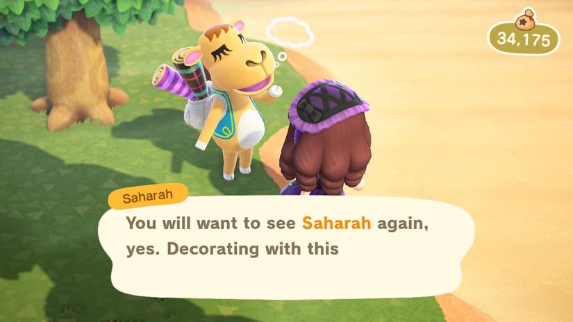 Animal Crossing New Horizons Saharah
