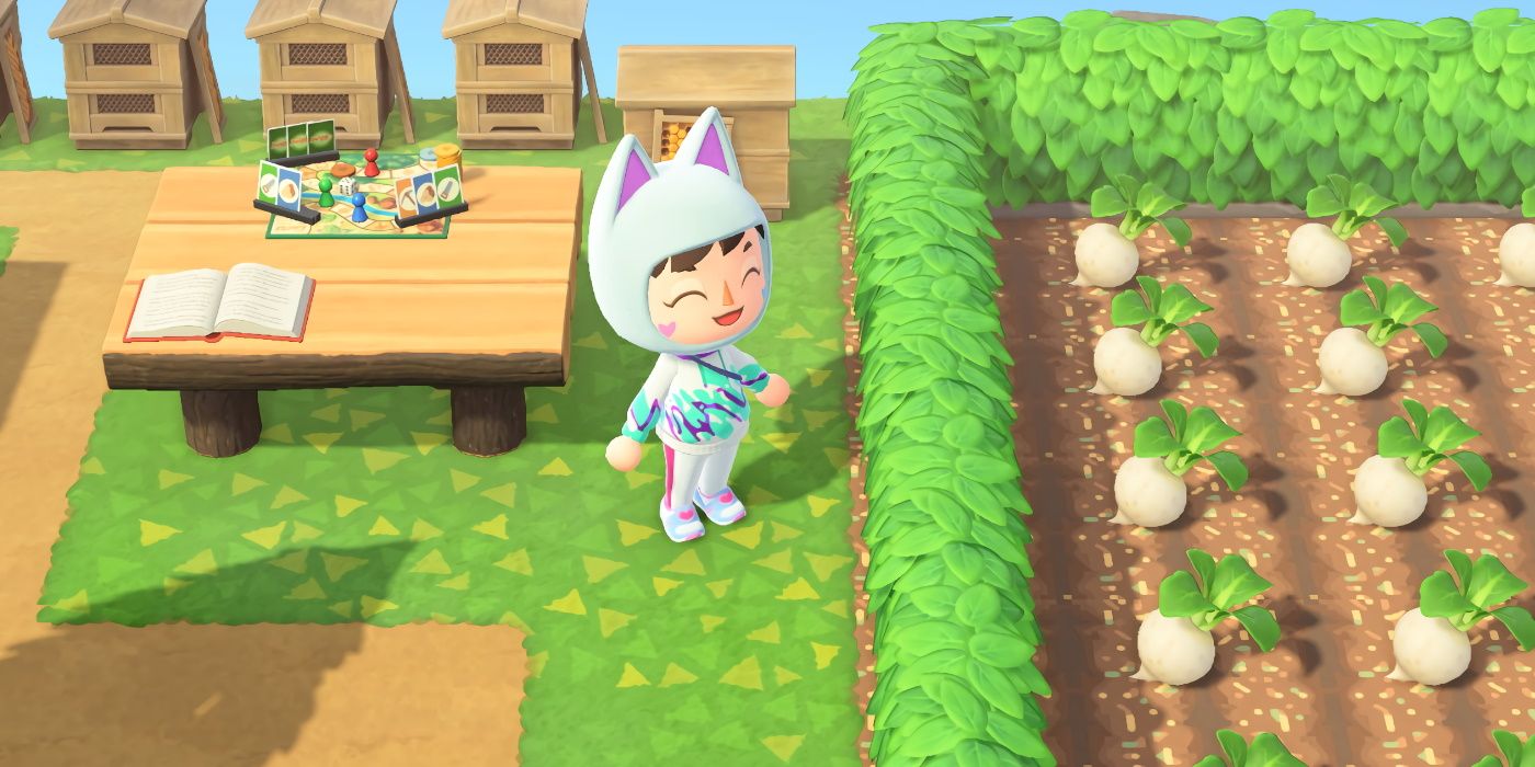 Animal Crossing Turnip Farm Paths