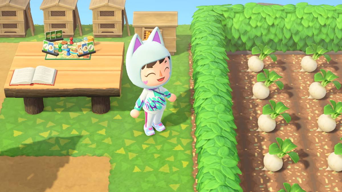 Animal Crossing Turnip Farm Paths