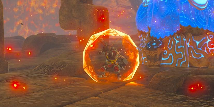 Breath Of The Wild Guard