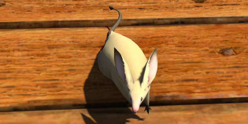 Final Fantasy XIV tiny rat