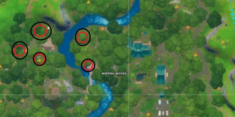 The Locations of the Gnomes for the Gnomes Fortnite