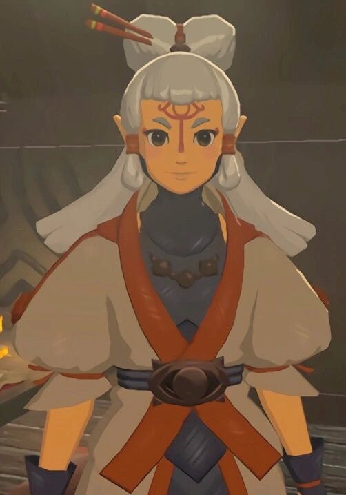 Legend of Zelda Breath of the Wild Paya Standing