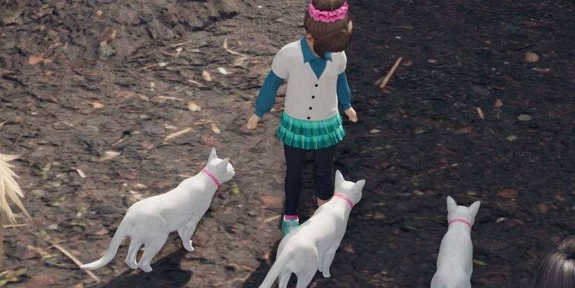 Lost friends Final Fantasy VII remake cats