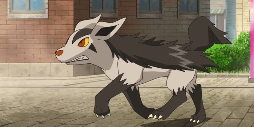 Pokemon Anime Mightyena