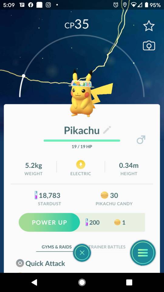Pokemon Go Flower Hat Pikachu Spring
