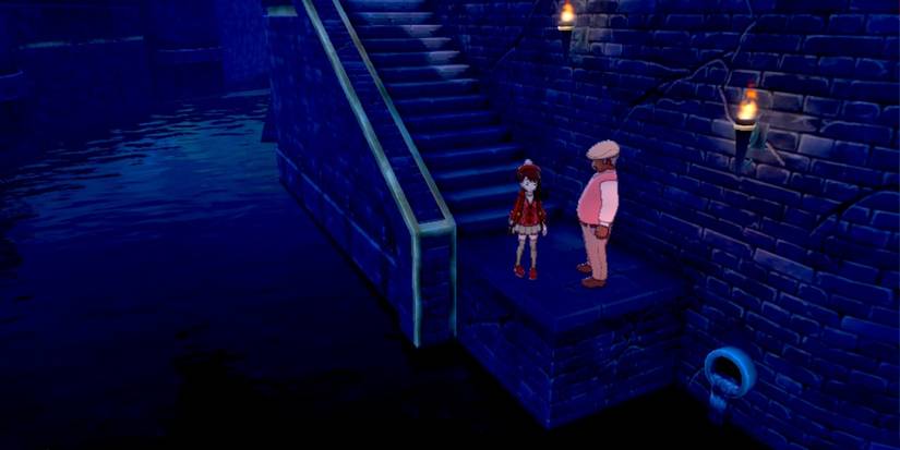 Pokemon Sword &amp; Shield Hammerlockes Hidden Dock