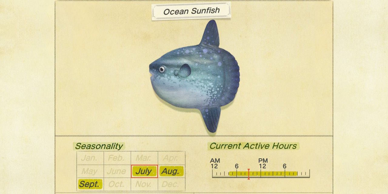 As Ocean Sunfish in Animal Crossing: New Horizons
