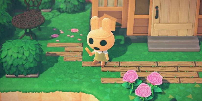 Coco from Animal Crossing New Horizons outside house on beach