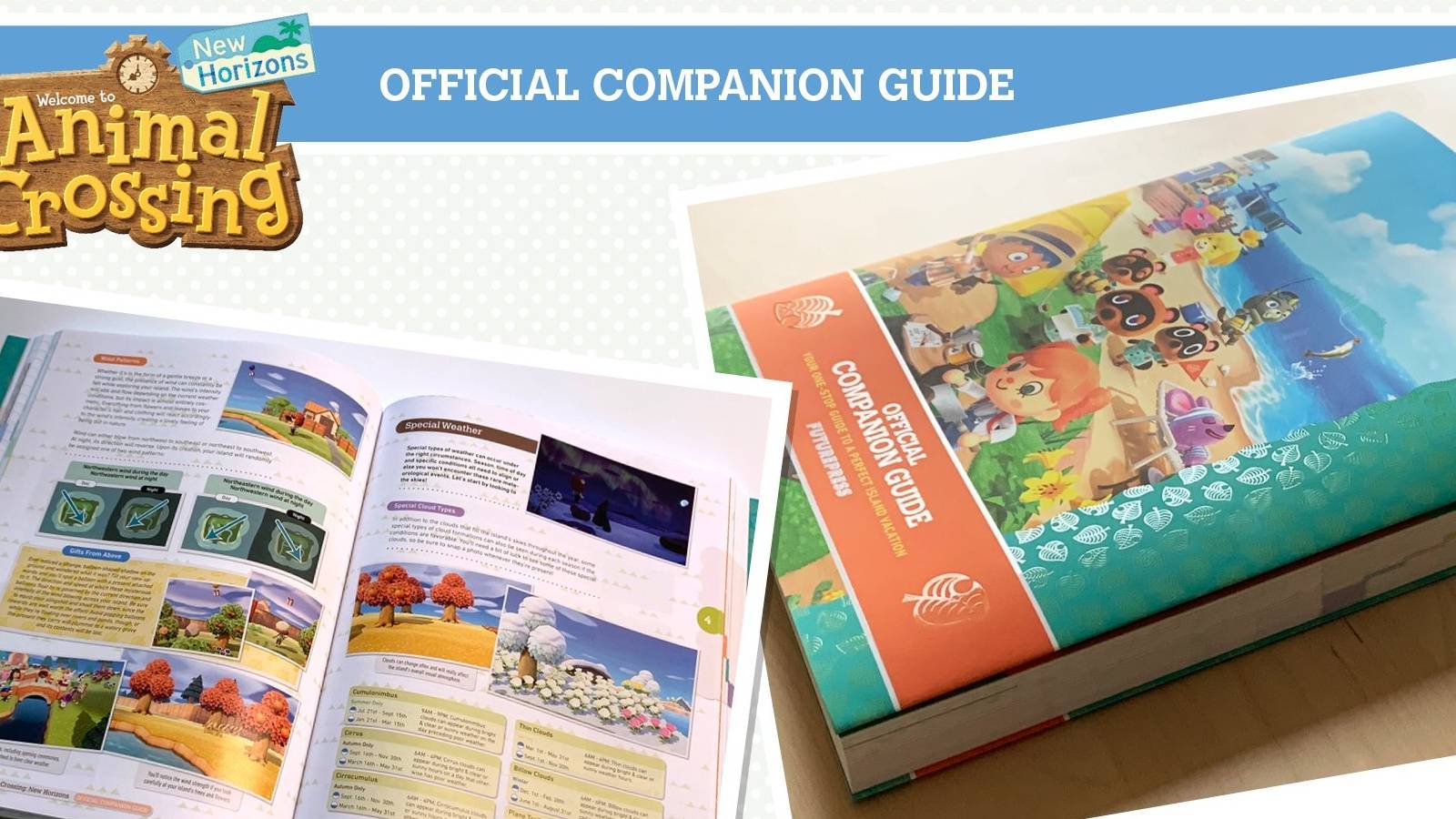 Animal Crossing: 10 Best Takeaways From The New Horizons Strategy Guide