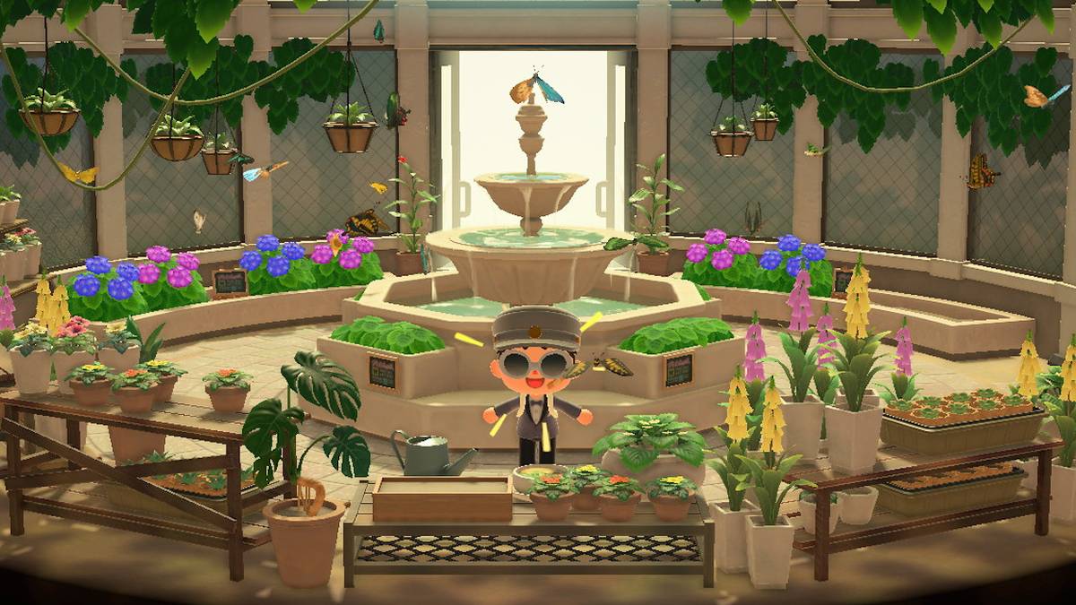 animal crossing new horizons agrias butterfly