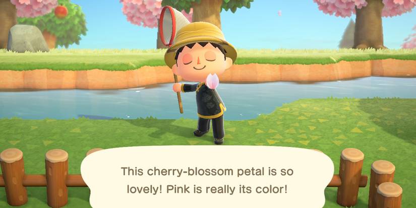 animal crossing new horizons cherry blossom items