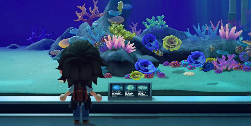 animal crossing new horizons fish leaving in may