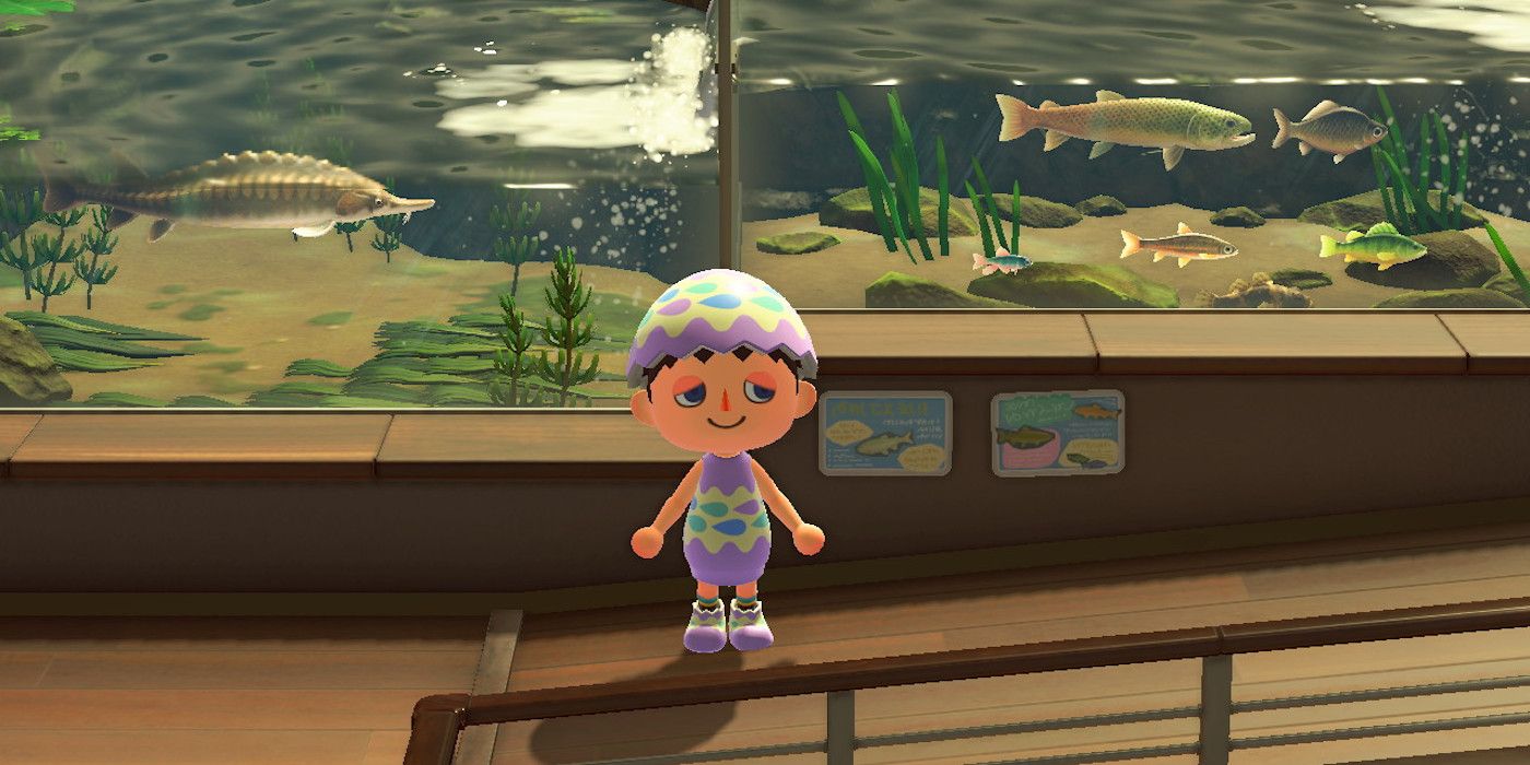 Animal Crossing New Horizons April Bugs and Fish List