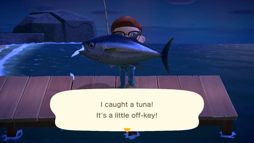 animal crossing new horizons fishing tuna
