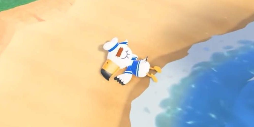 animal crossing new horizons gulliver laying on the sand beach