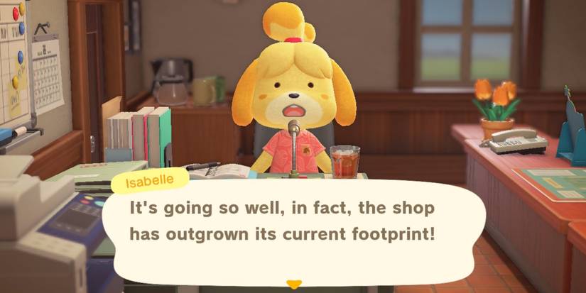 nooks cranny expansion acnh nintendo switch