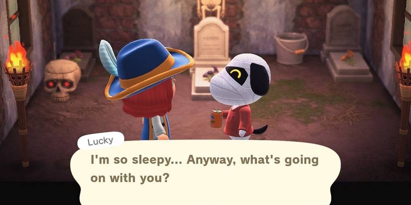 animal crossing new horizons lucky