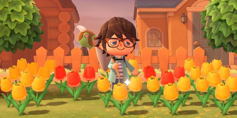 animal crossing new horizons may bugs