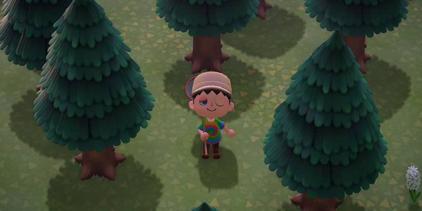 animal crossing new horizons atlas moth