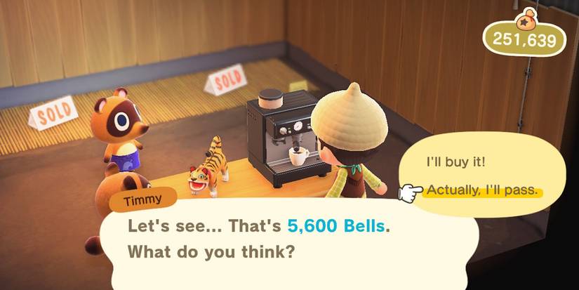 animal crossing new horizons balloon spawns