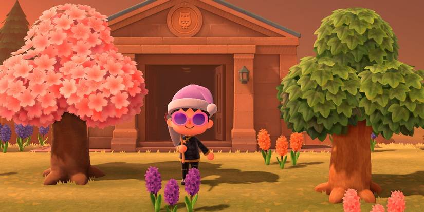 animal crossing new horizons madagascan sunset moth