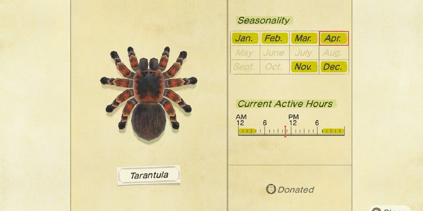animal crossing new horizons tarantula