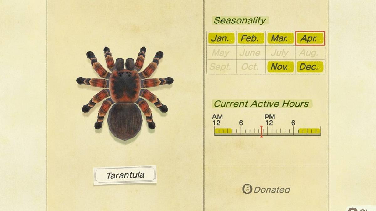 animal crossing new horizons tarantula