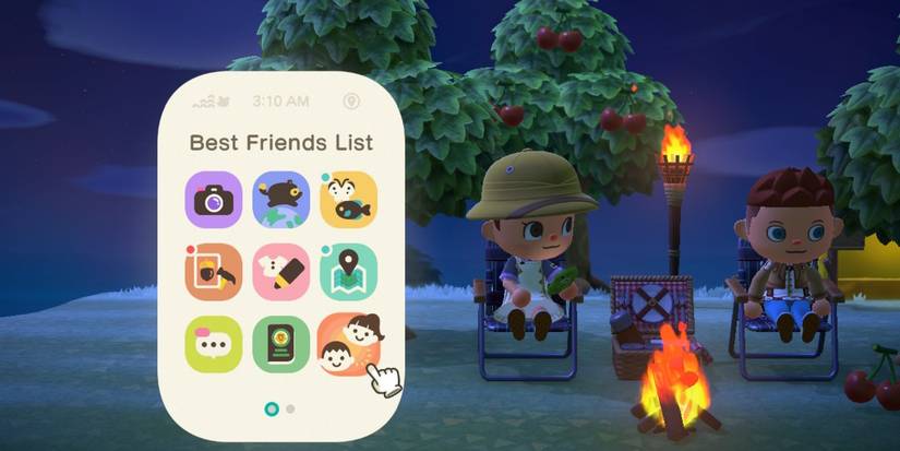 animal crossing new horizons co-op