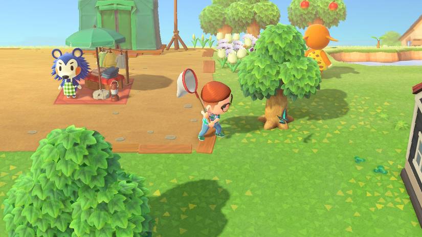 animal crossing rare bugs catching
