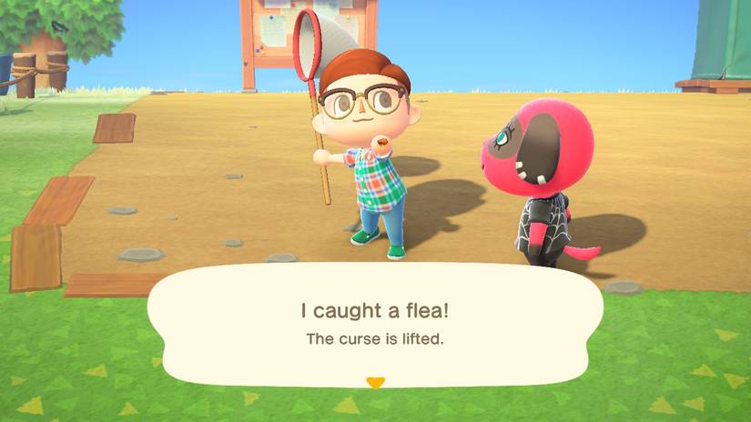 animal crossing rare bugs fleas
